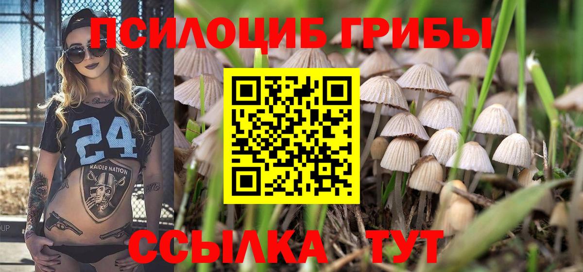 Барабинск  Псилоцибиновые грибы ЛСД  Галлюциногенные грибы Psilocybe  Вход с VPN 