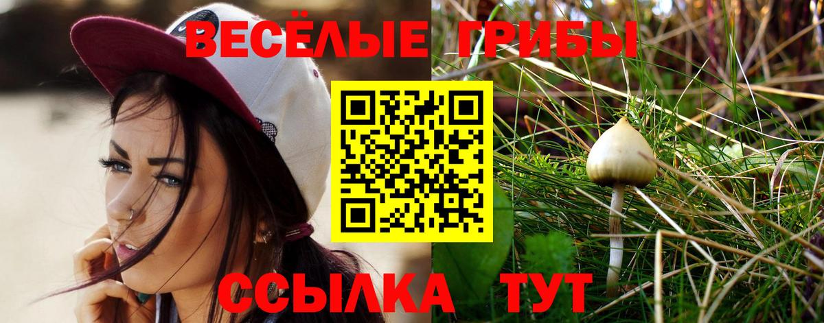 Галлюциногенные грибы ЛСД Барабинск